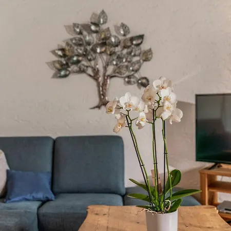 Blaubeerhügel Ferienhaus