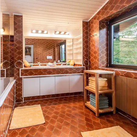 Blaubeerhügel Ferienhaus Ramsau am Dachstein