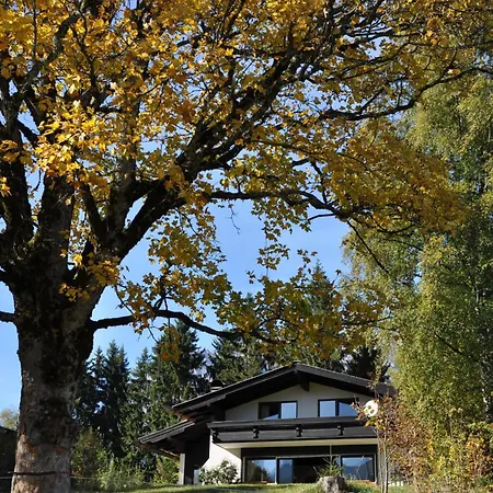 Vakantiehuis Blaubeerhuegel *
